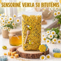 Biri sensorika "Bitučių tema"